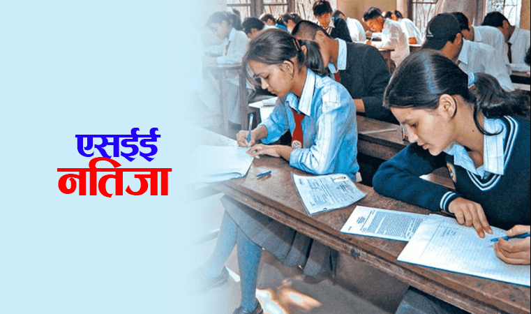 एसईई २०८१ नतिजा सार्वजनिक: सम्पूर्ण तथ्यांक र विद्यार्थी विवरण